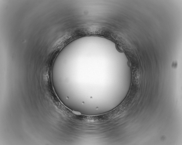 X0000093600746200710291144