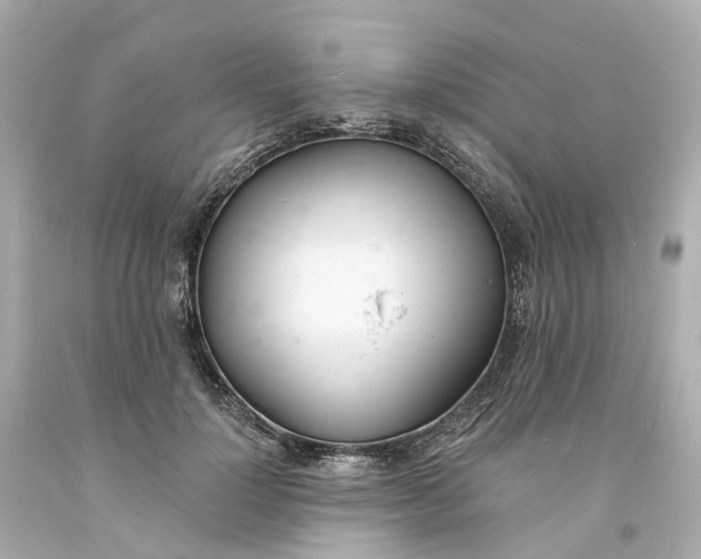 X0000093600748200710291144