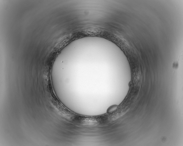 X0000093600749200710291144