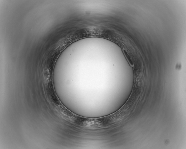 X0000093600752200710291144