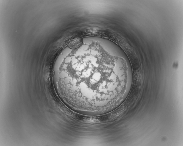 X0000093600754200710291144