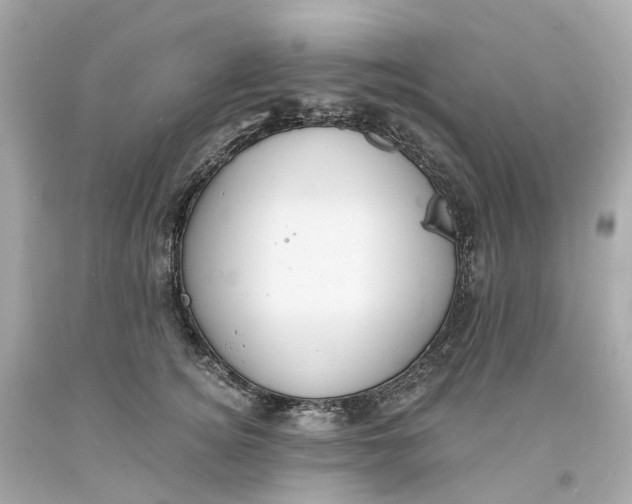 X0000093600756200710291144