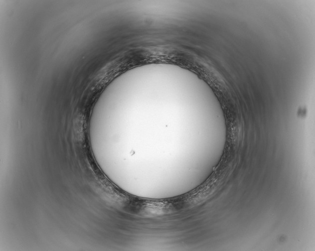 X0000093600757200710291144