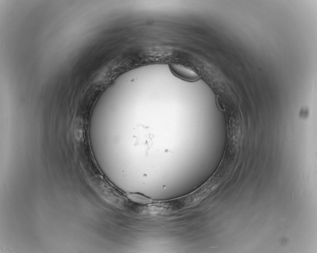 X0000093600758200710291144