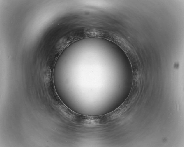 X0000093600760200710291144