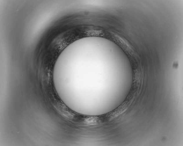 X0000093600761200710291144