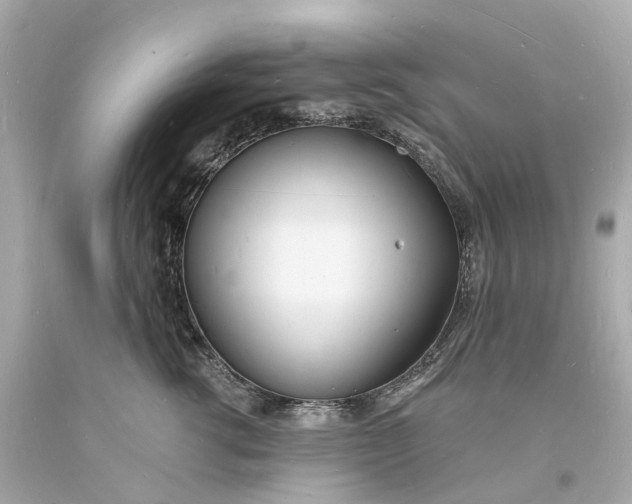 X0000093600762200710291144