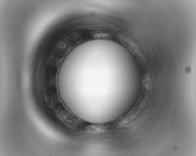 X0000093600763200710291144