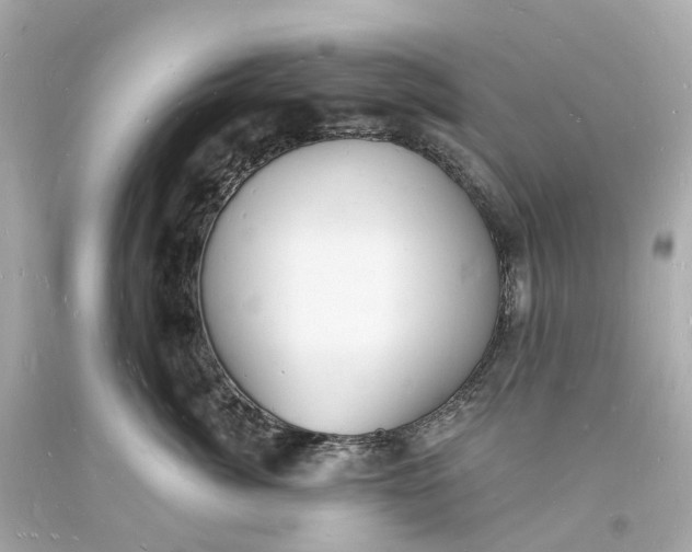 X0000093600764200710291144