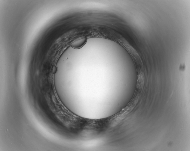 X0000093600765200710291144