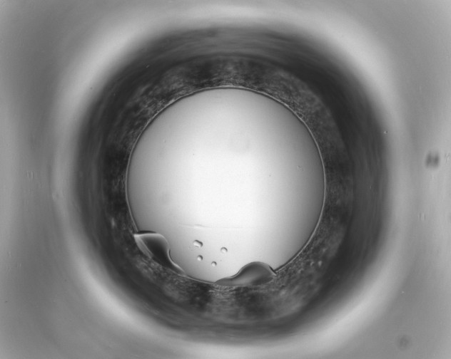 X0000093600766200710291144