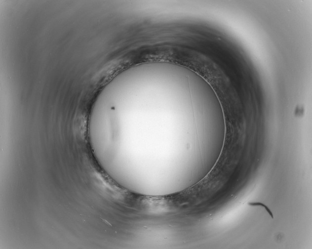 X0000093600767200710291144