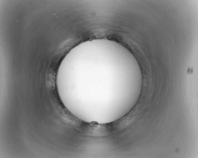 X0000093600768200710291144