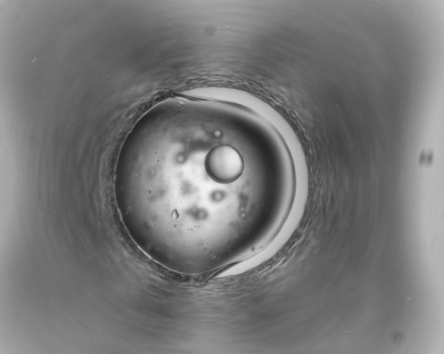 X0000093600769200710291143