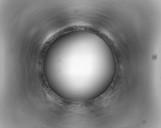 X0000093600775200710291143