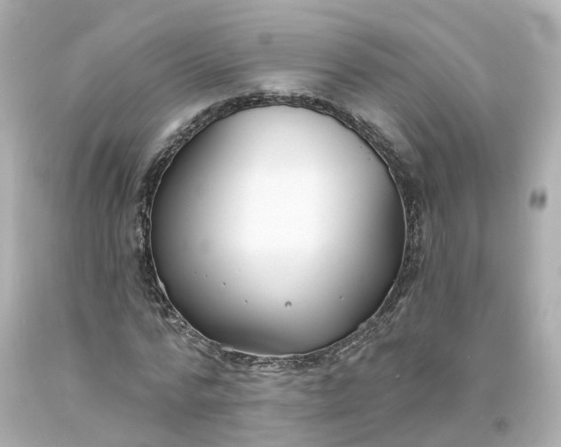 X0000093600776200710291143