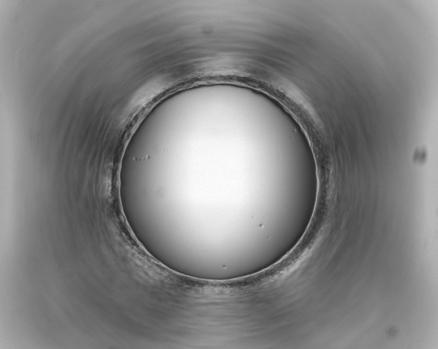 X0000093600777200710291143