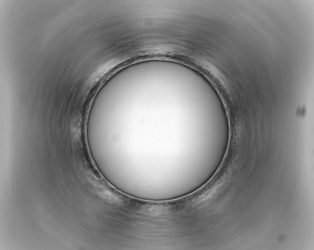 X0000093600778200710291143