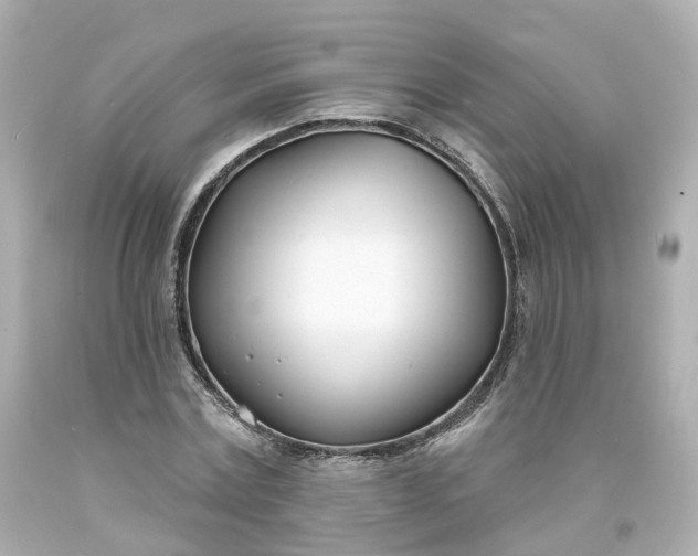 X0000093600779200710291143