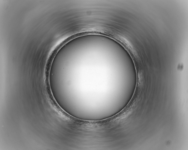 X0000093600780200710291143