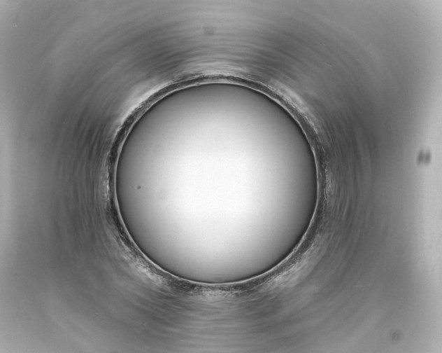 X0000093600782200710291143