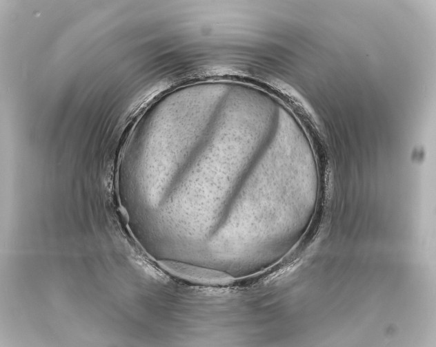 X0000093600785200710291143