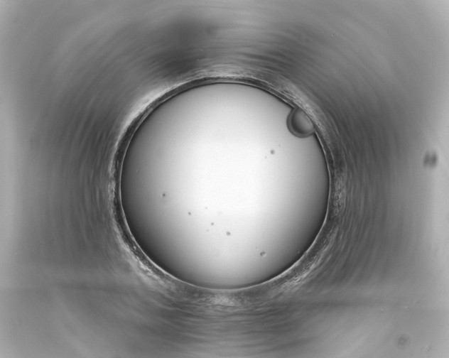 X0000093600787200710291143