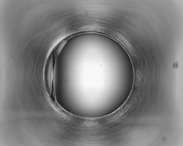 X0000093600788200710291143