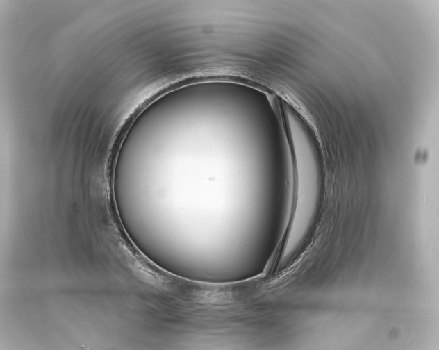 X0000093600789200710291143