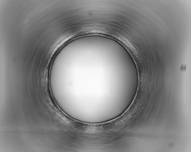 X0000093600790200710291143