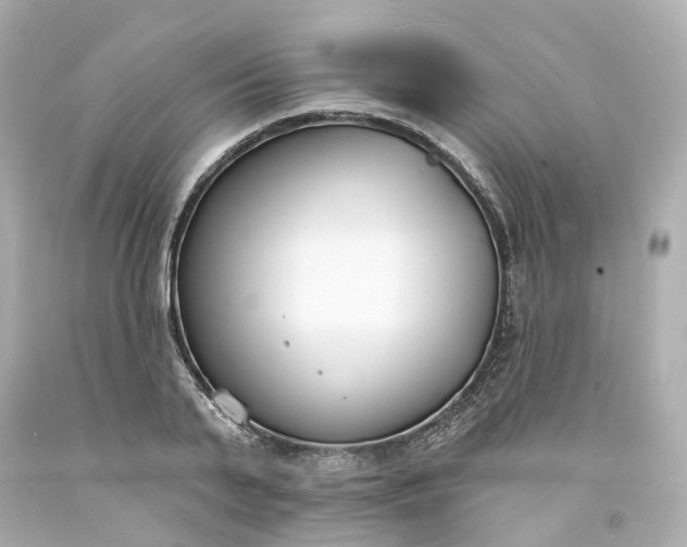 X0000093600791200710291143