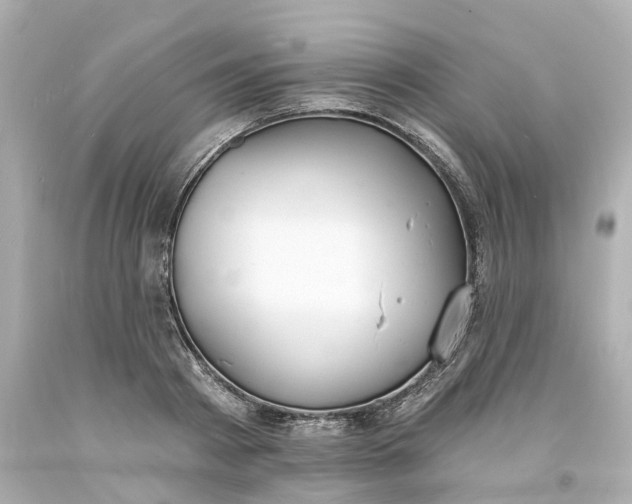 X0000093600793200710291143