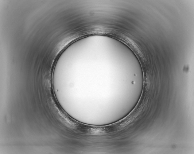 X0000093600794200710291143