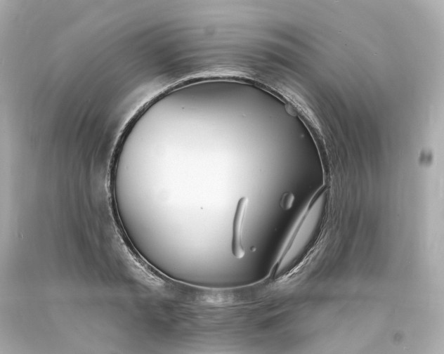 X0000093600797200710291143