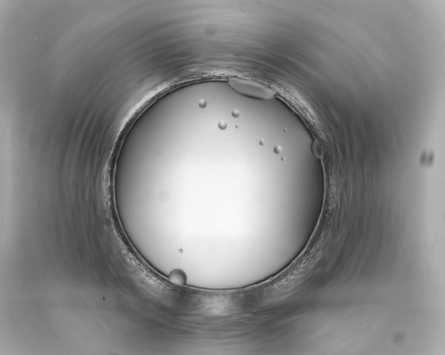 X0000093600798200710291143