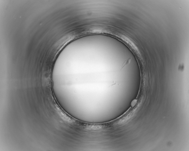 X0000093600801200710291143