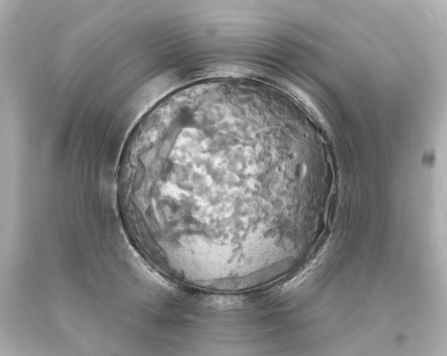 X0000093600802200710291143