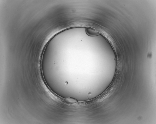 X0000093600803200710291143