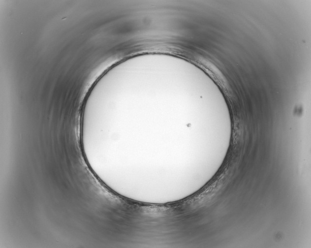 X0000093600804200710291143