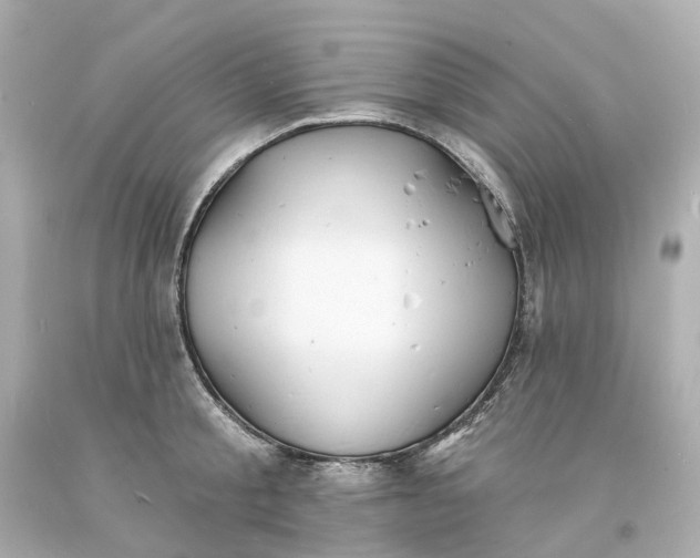 X0000093600805200710291143