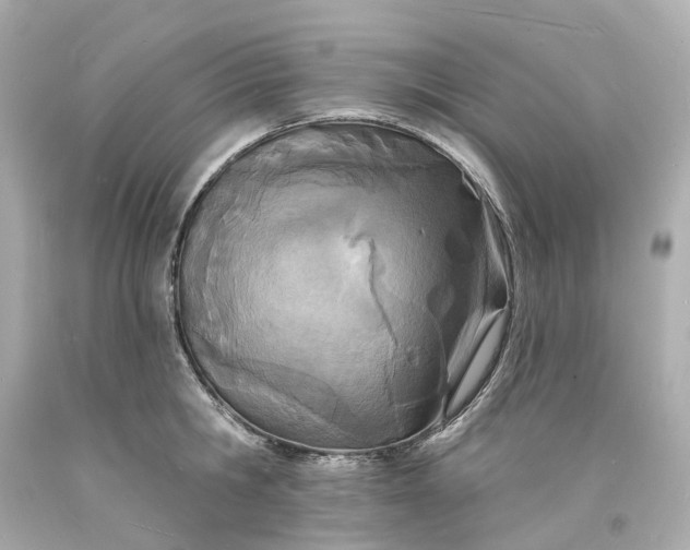 X0000093600806200710291143