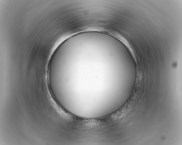 X0000093600811200710291143