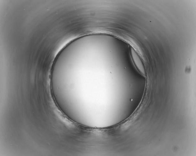 X0000093600814200710291142