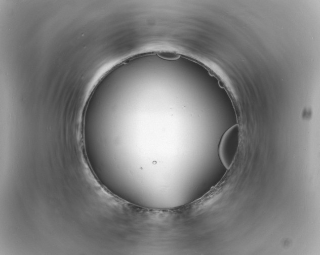 X0000093600815200710291142