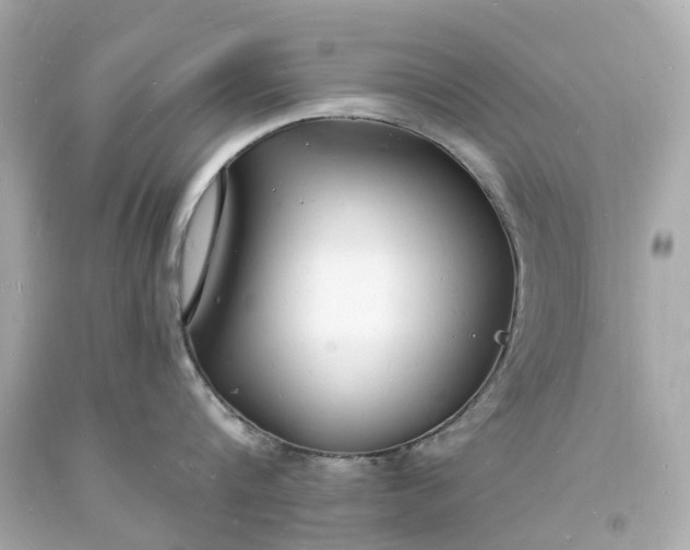 X0000093600816200710291142