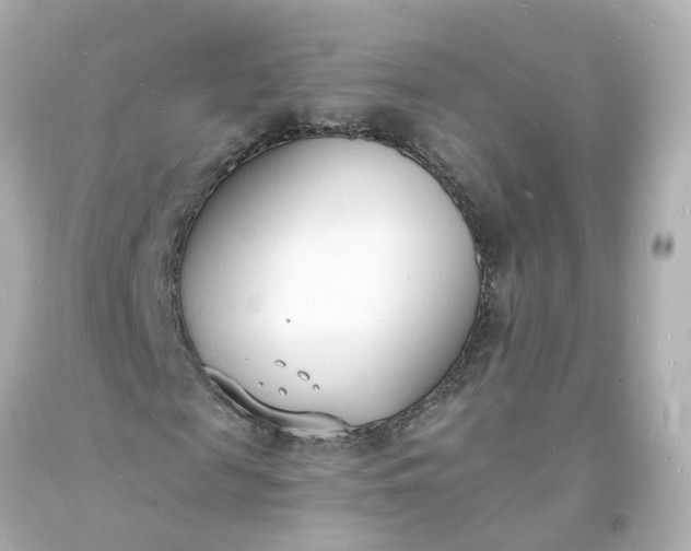 X0000093600817200710291142