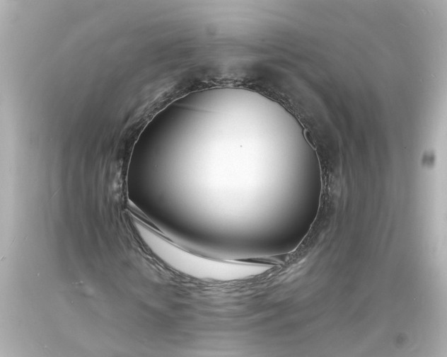 X0000093600818200710291142