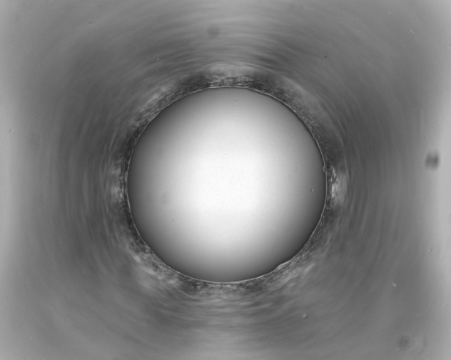 X0000093600819200710291142