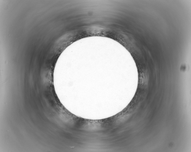 X0000093600820200710291142