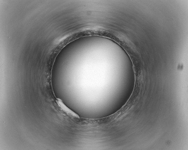 X0000093600822200710291142